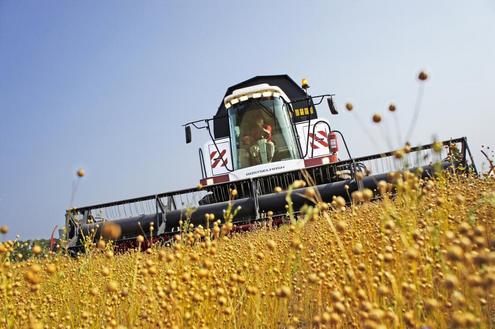 Уборка зерна в Приднестровье
